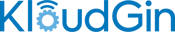KloudGin